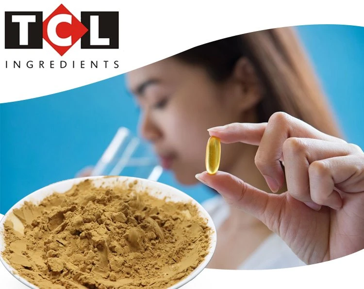 phyllanthus niruri extract suppliers