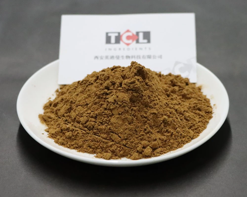 Orthosiphon Extract high quality