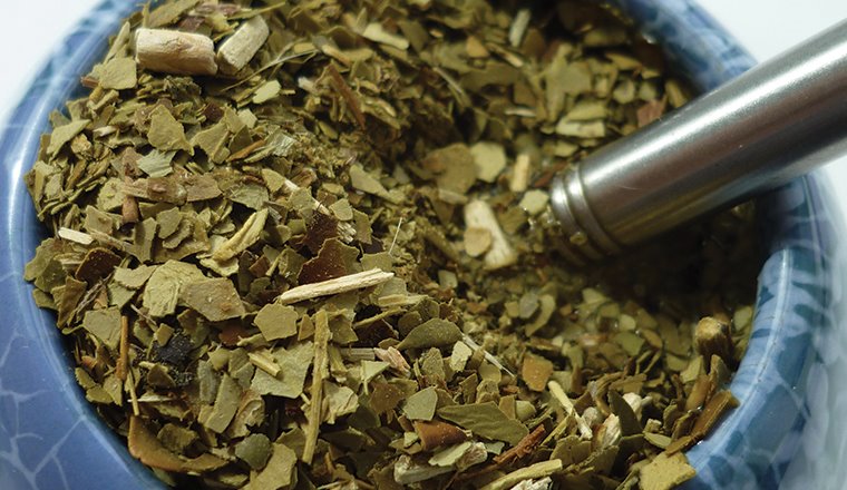 natural yerba mate extract best price